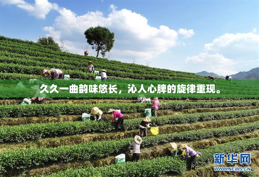 久久一曲韵味悠长，沁人心脾的旋律重现。