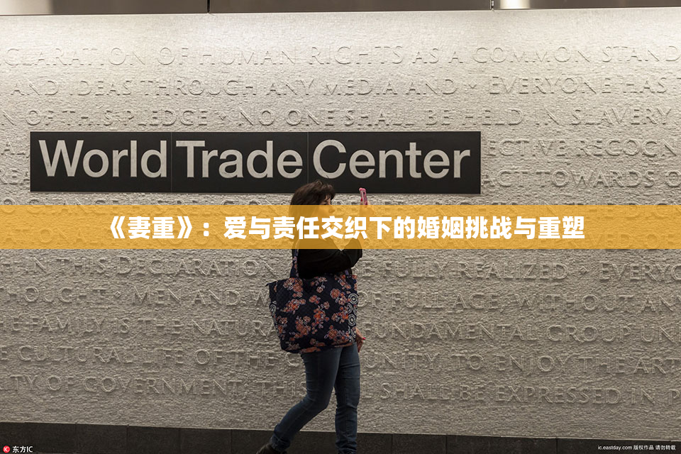 《妻重》：爱与责任交织下的婚姻挑战与重塑
