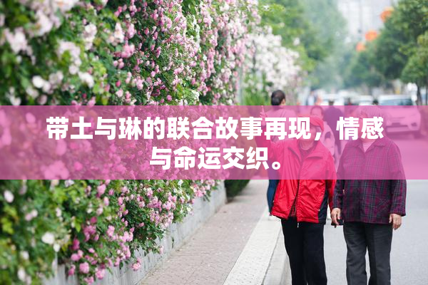 带土与琳的联合故事再现，情感与命运交织。