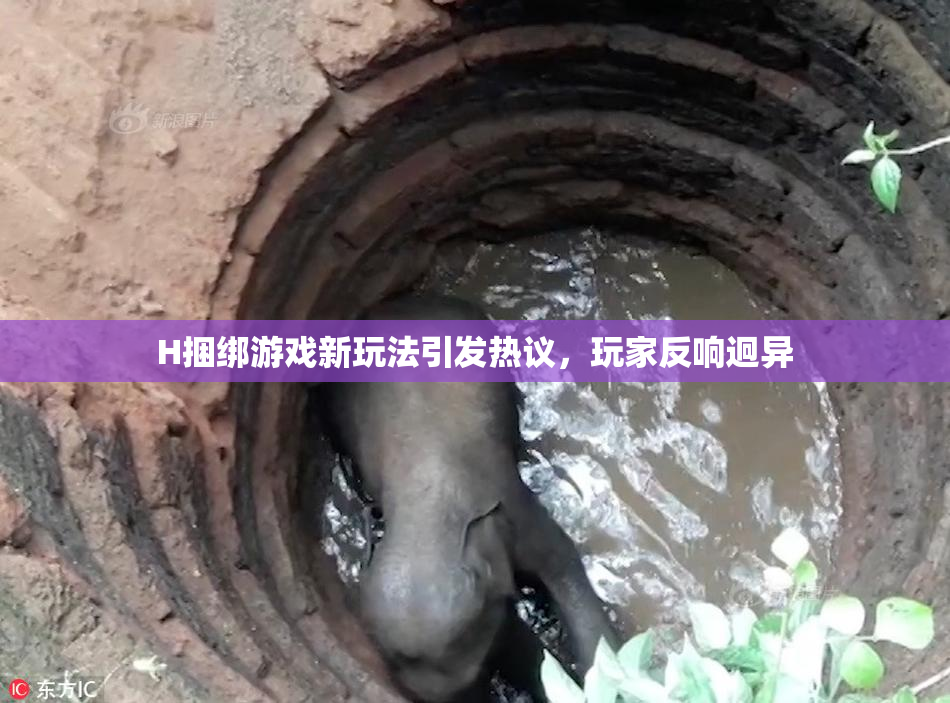 H捆绑游戏新玩法引发热议，玩家反响迥异