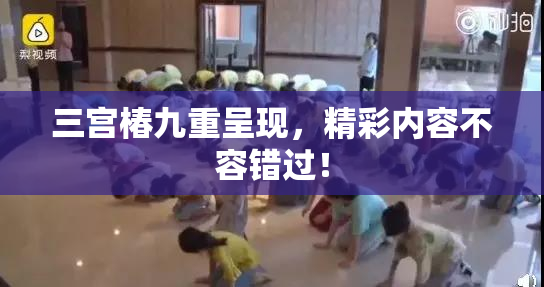 三宫椿九重呈现，精彩内容不容错过！