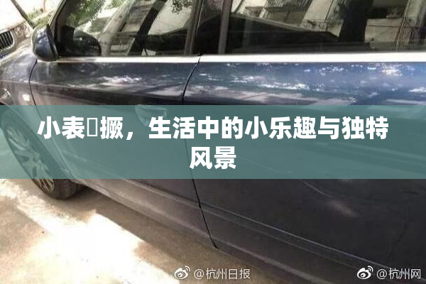 小表妺撅，生活中的小乐趣与独特风景