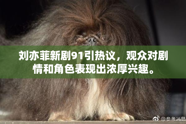 刘亦菲新剧91引热议，观众对剧情和角色表现出浓厚兴趣。
