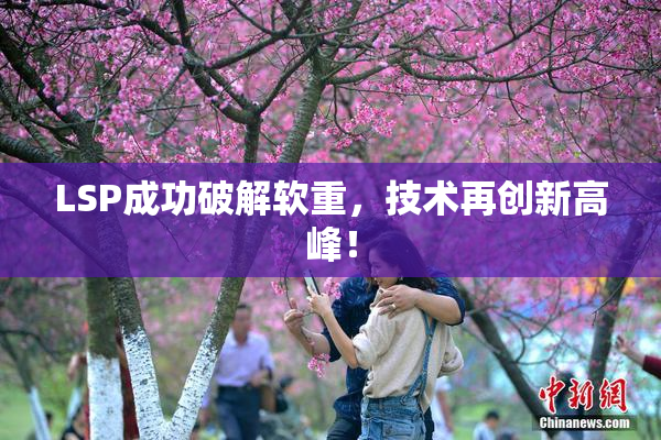 LSP成功破解软重，技术再创新高峰！
