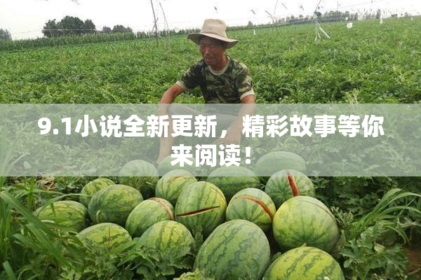 9.1小说全新更新，精彩故事等你来阅读！