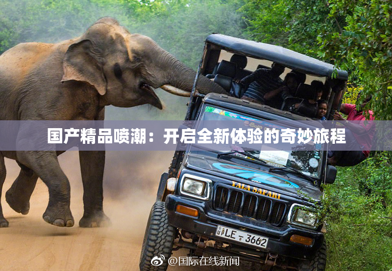 国产精品喷潮：开启全新体验的奇妙旅程
