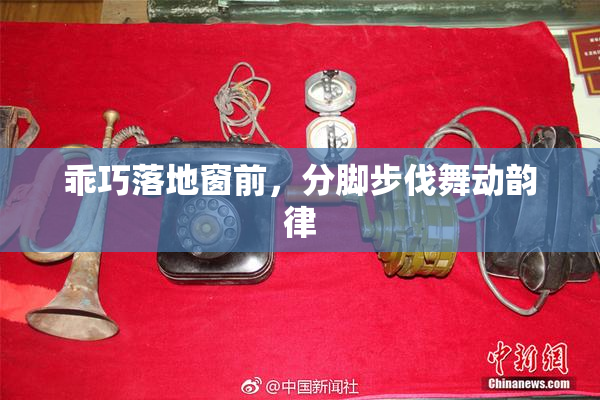 乖巧落地窗前，分脚步伐舞动韵律