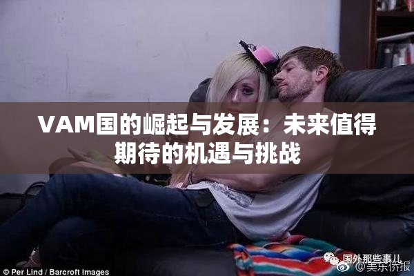 VAM国的崛起与发展：未来值得期待的机遇与挑战