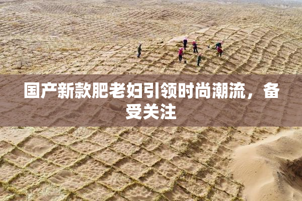 国产新款肥老妇引领时尚潮流，备受关注