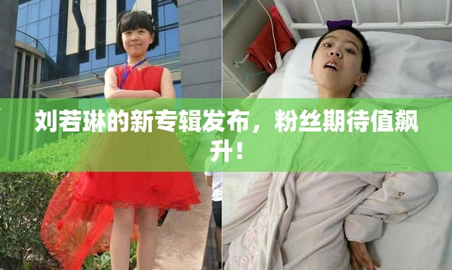 刘若琳的新专辑发布，粉丝期待值飙升！