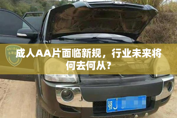 成人AA片面临新规，行业未来将何去何从？