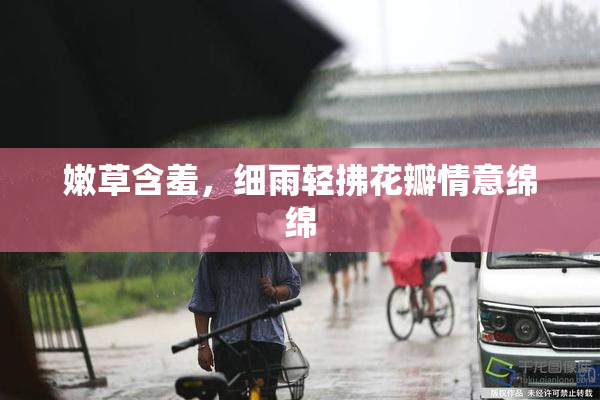 嫩草含羞，细雨轻拂花瓣情意绵绵