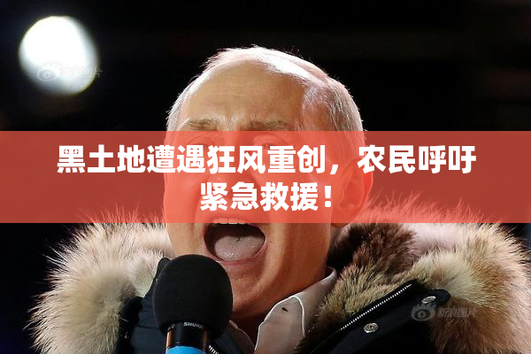 黑土地遭遇狂风重创，农民呼吁紧急救援！