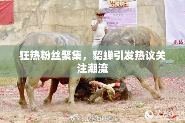 狂热粉丝聚集，貂蝉引发热议关注潮流
