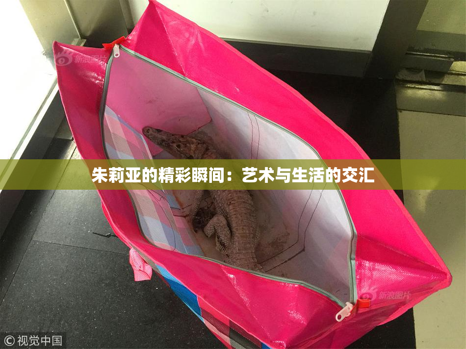 朱莉亚的精彩瞬间：艺术与生活的交汇