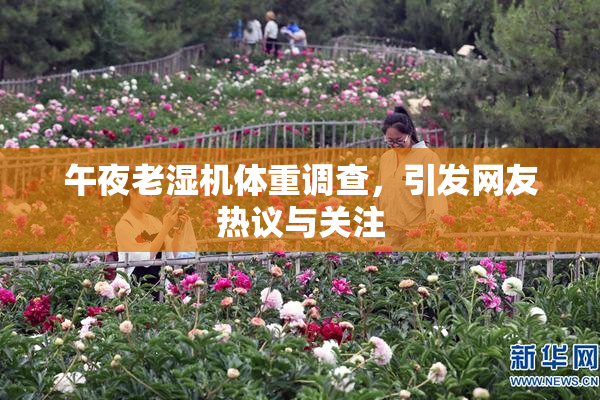 午夜老湿机体重调查，引发网友热议与关注