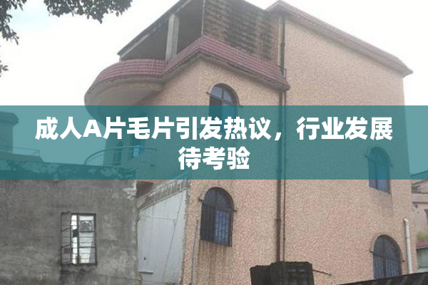 成人A片毛片引发热议，行业发展待考验