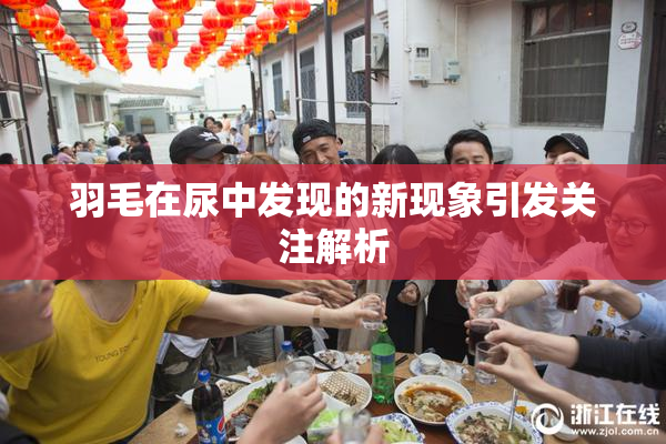 羽毛在尿中发现的新现象引发关注解析