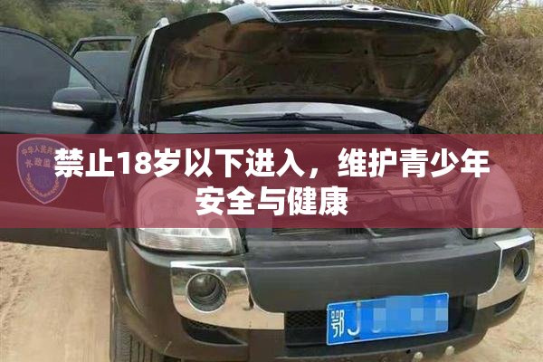 禁止18岁以下进入，维护青少年安全与健康