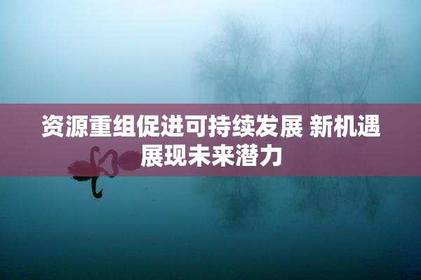 资源重组促进可持续发展 新机遇展现未来潜力