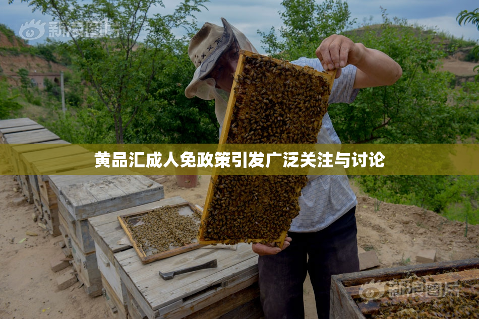 黄品汇成人免政策引发广泛关注与讨论