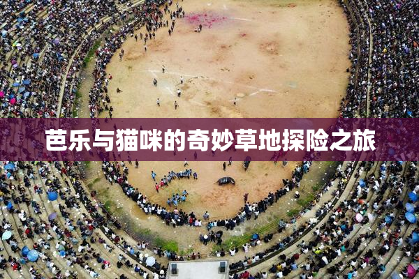 芭乐与猫咪的奇妙草地探险之旅