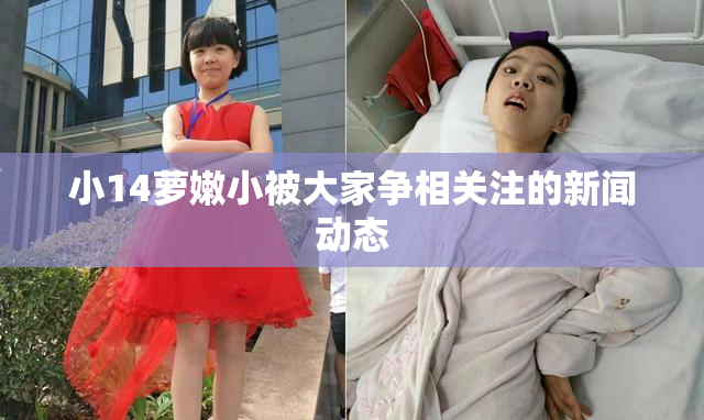 小14萝嫩小被大家争相关注的新闻动态