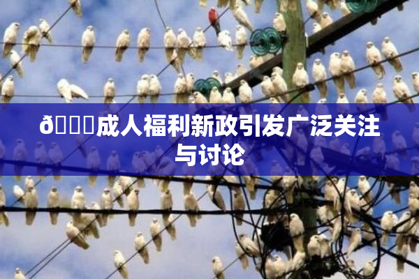 🔞成人福利新政引发广泛关注与讨论