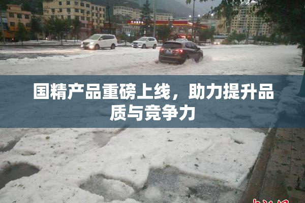 国精产品重磅上线，助力提升品质与竞争力