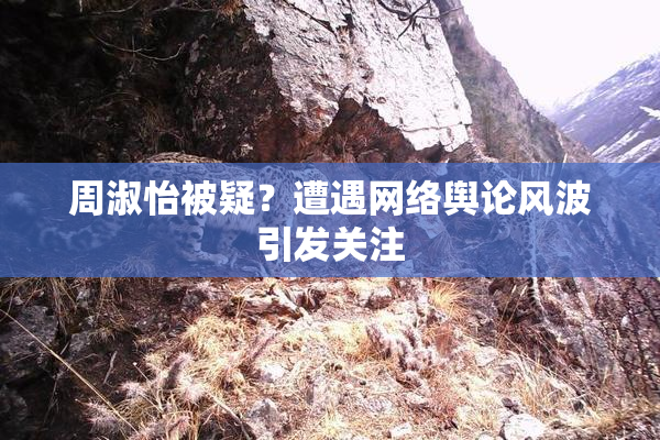 周淑怡被疑？遭遇网络舆论风波引发关注