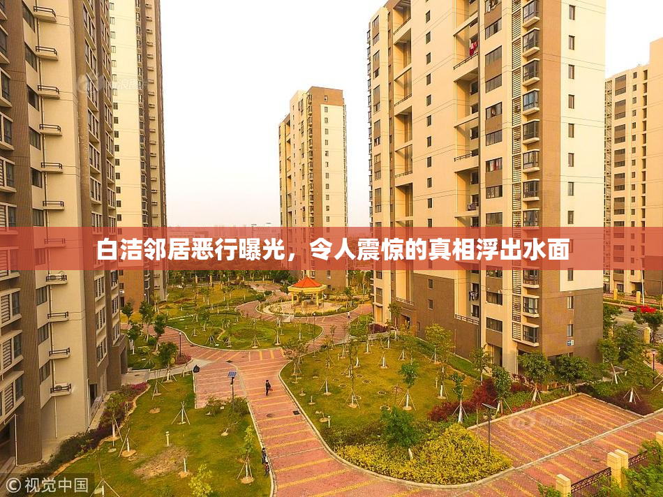 白洁邻居恶行曝光，令人震惊的真相浮出水面