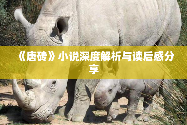 《唐砖》小说深度解析与读后感分享