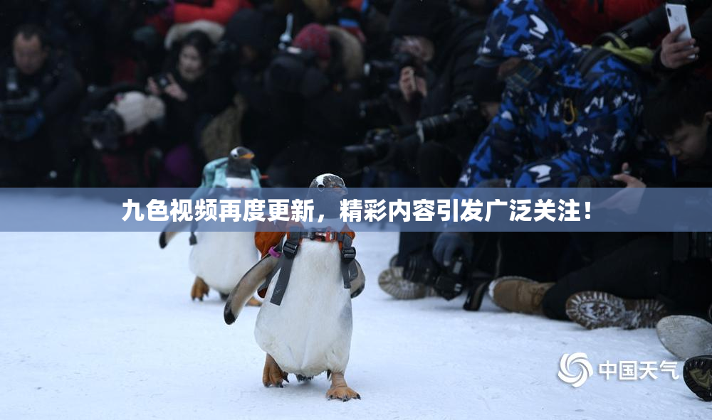 九色视频再度更新，精彩内容引发广泛关注！