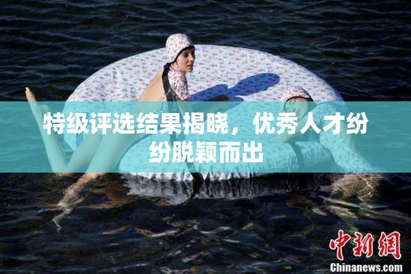 特级评选结果揭晓，优秀人才纷纷脱颖而出