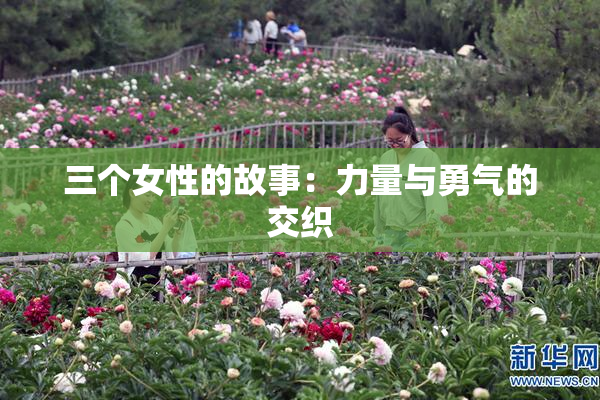 三个女性的故事：力量与勇气的交织