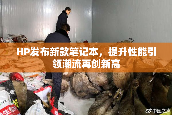 HP发布新款笔记本，提升性能引领潮流再创新高