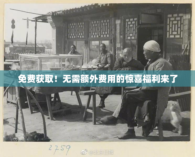免费获取！无需额外费用的惊喜福利来了
