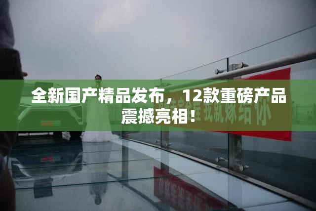 全新国产精品发布，12款重磅产品震撼亮相！