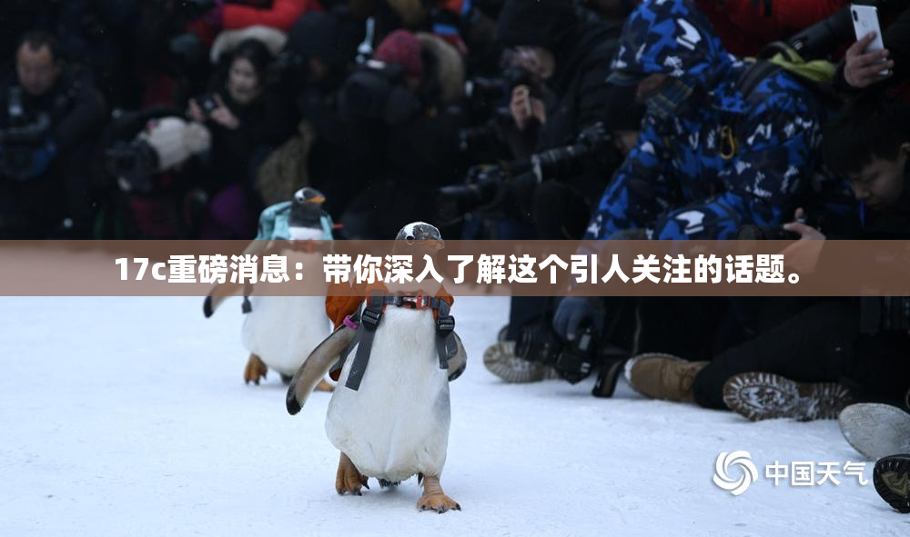 17c重磅消息：带你深入了解这个引人关注的话题。