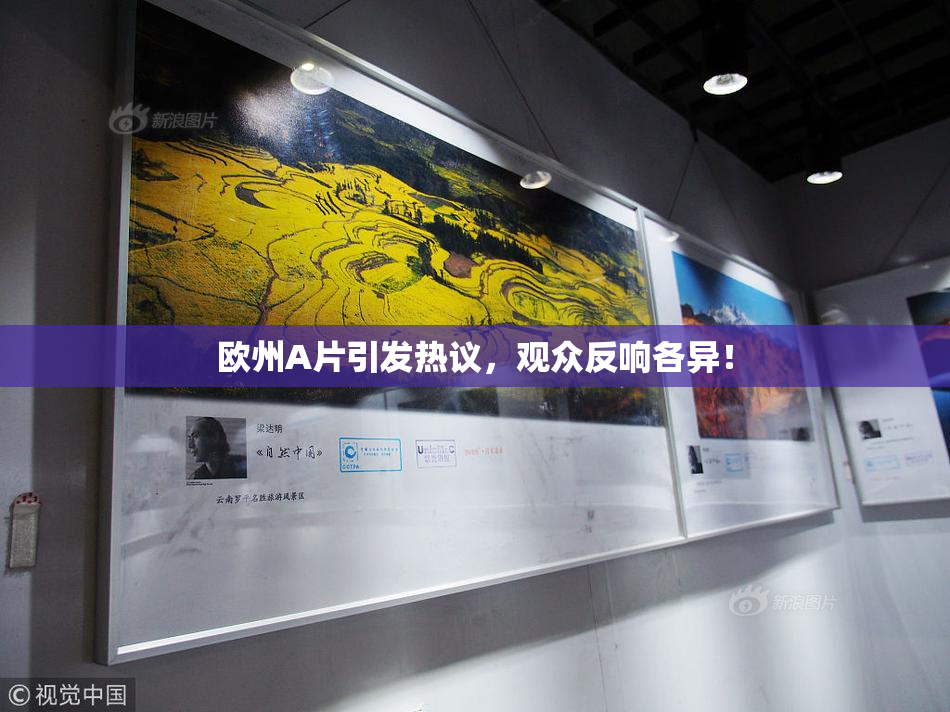 欧州A片引发热议，观众反响各异！