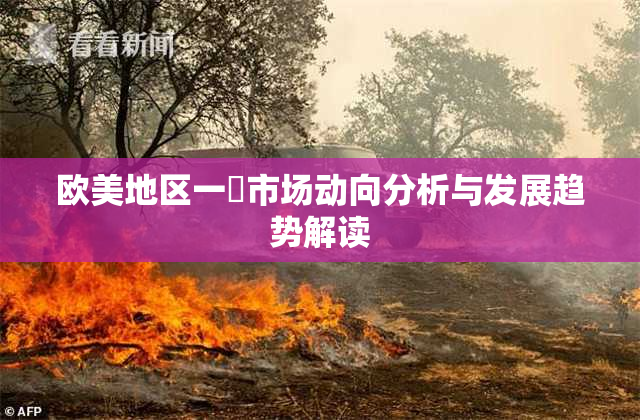 欧美地区一級市场动向分析与发展趋势解读