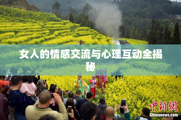 女人的情感交流与心理互动全揭秘