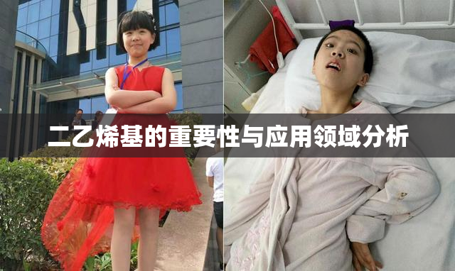二乙烯基的重要性与应用领域分析