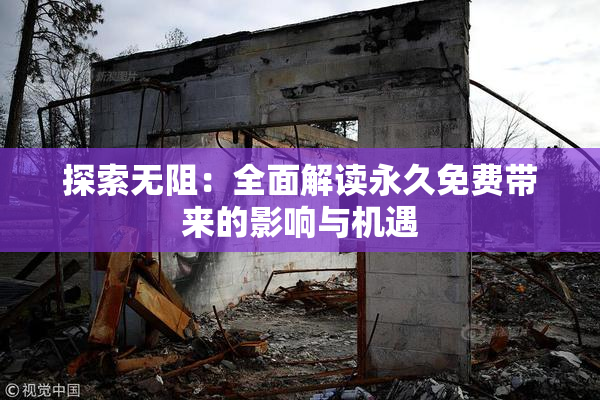 探索无阻：全面解读永久免费带来的影响与机遇