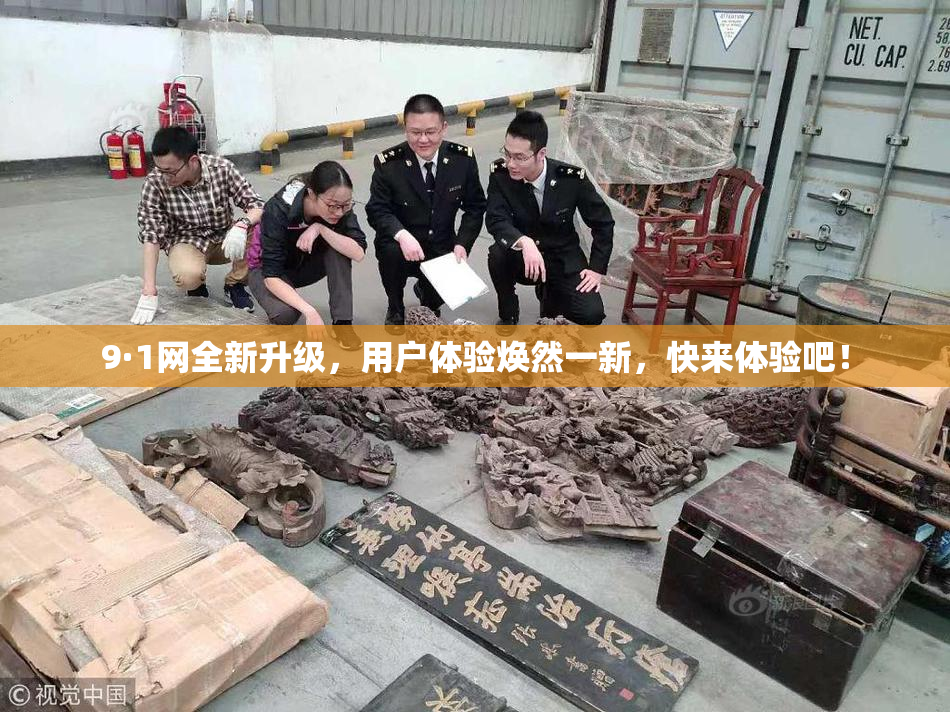 9·1网全新升级，用户体验焕然一新，快来体验吧！