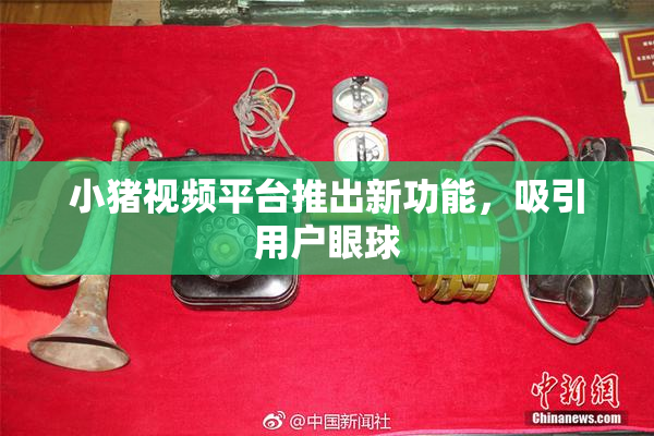 小猪视频平台推出新功能，吸引用户眼球