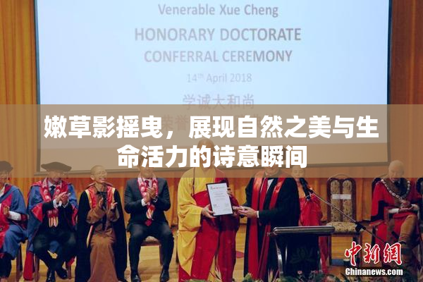 嫩草影摇曳，展现自然之美与生命活力的诗意瞬间
