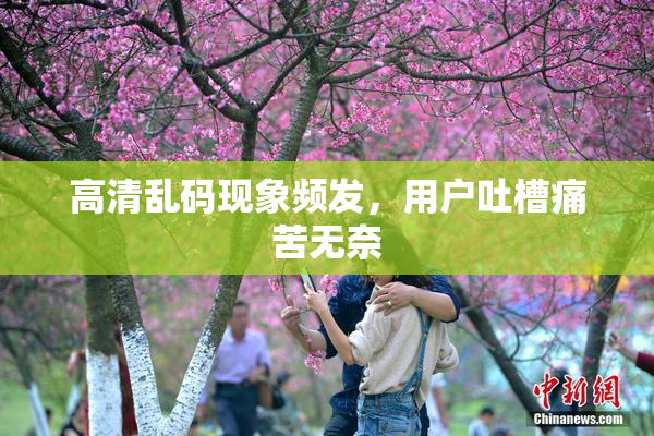 高清乱码现象频发，用户吐槽痛苦无奈