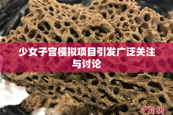 少女子宫模拟项目引发广泛关注与讨论