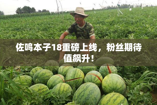 佐鸣本子18重磅上线，粉丝期待值飙升！
